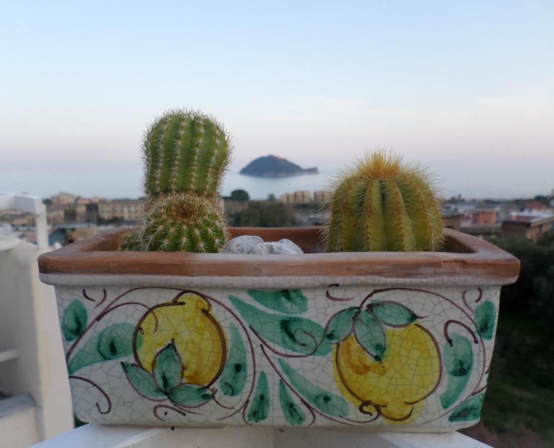 Ventoverde B&B Albenga Exterior photo